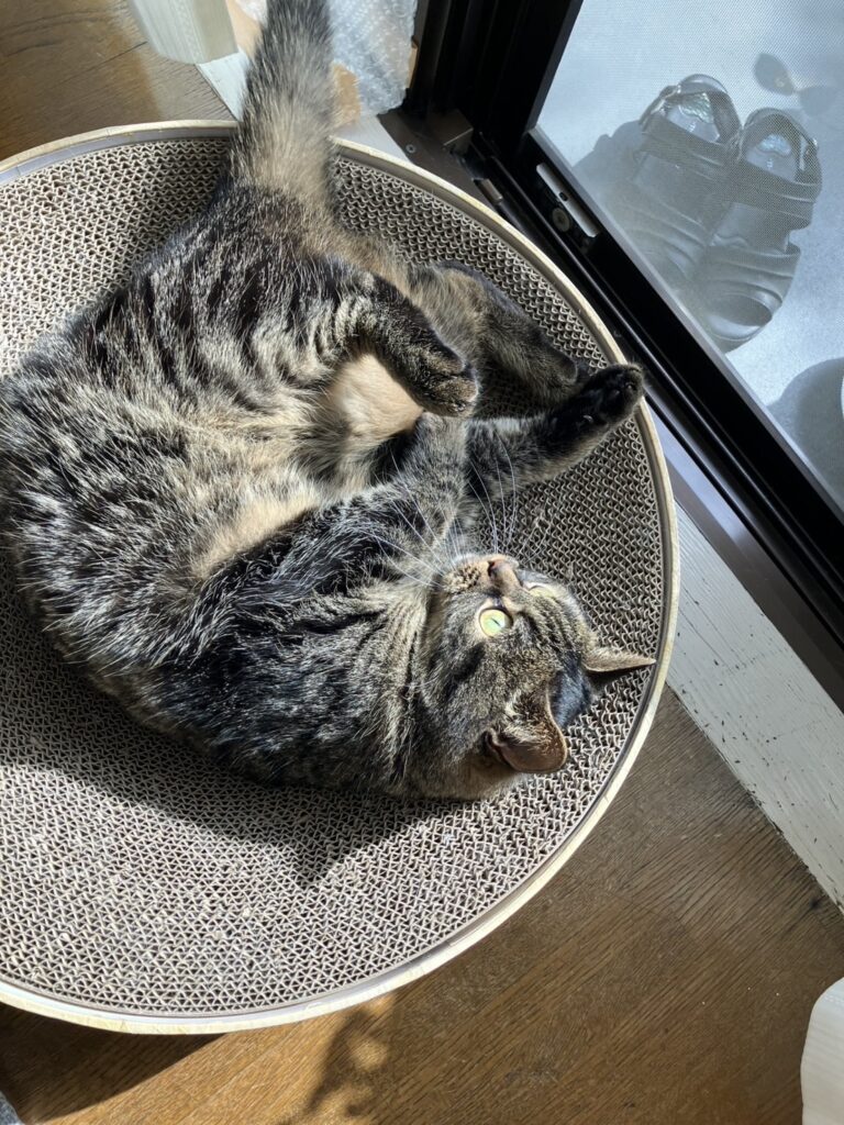 日向ぼっこ