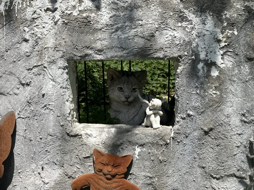 秩父　ねこ